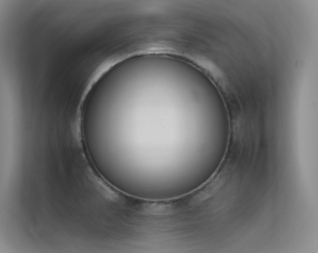 X0000113351374200909151145
