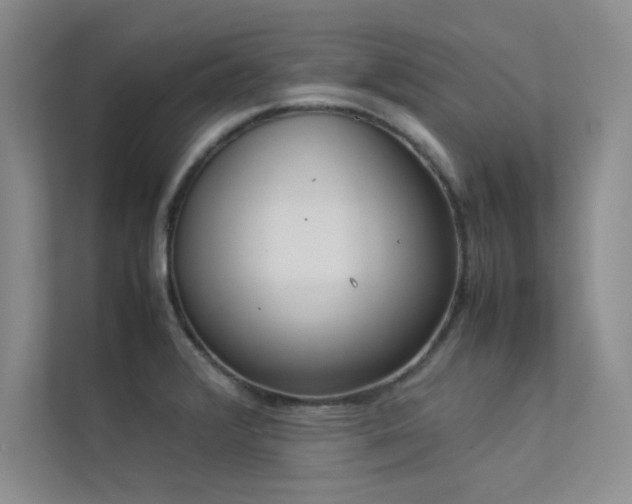 X0000113351376200909151145