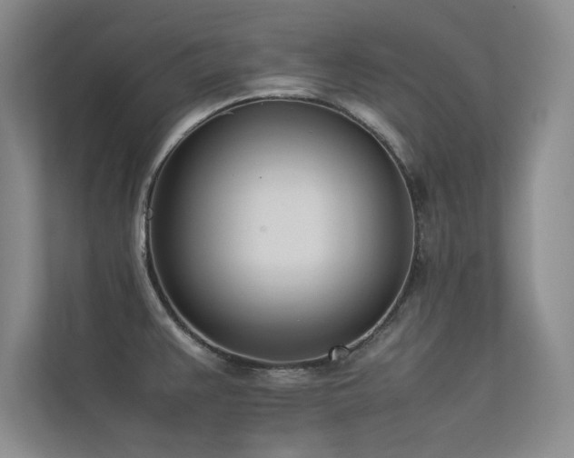 X0000113351383200909151145