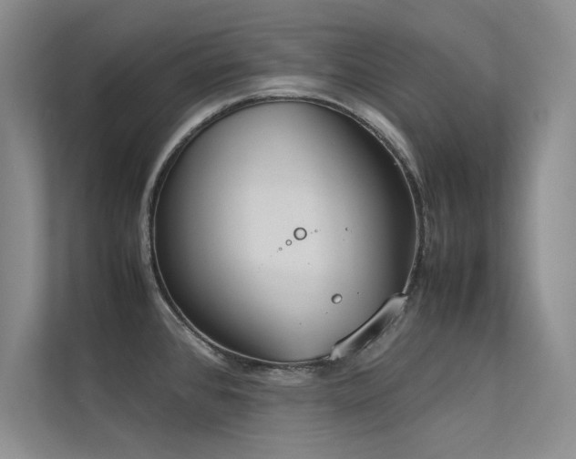 X0000113351384200909151145