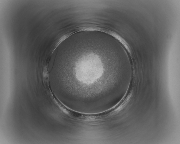 X0000113351385200909151145