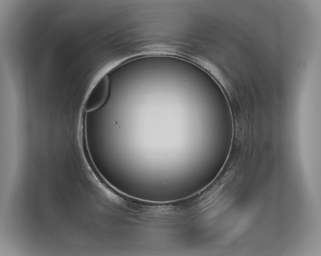 X0000113351387200909151145