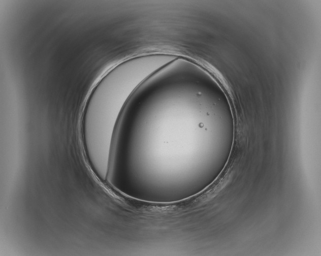 X0000113351389200909151145