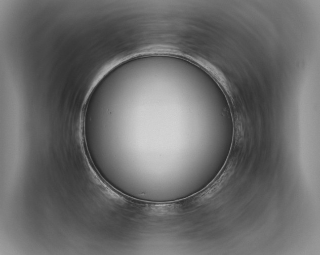 X0000113351390200909151145