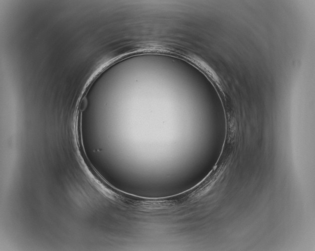 X0000113351391200909151145