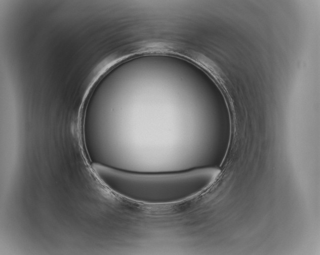 X0000113351392200909151145