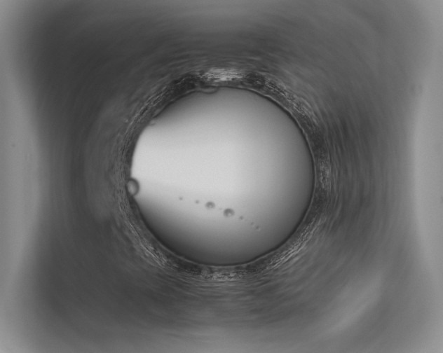 X0000113351393200909151144