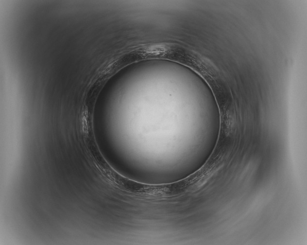 X0000113351394200909151144