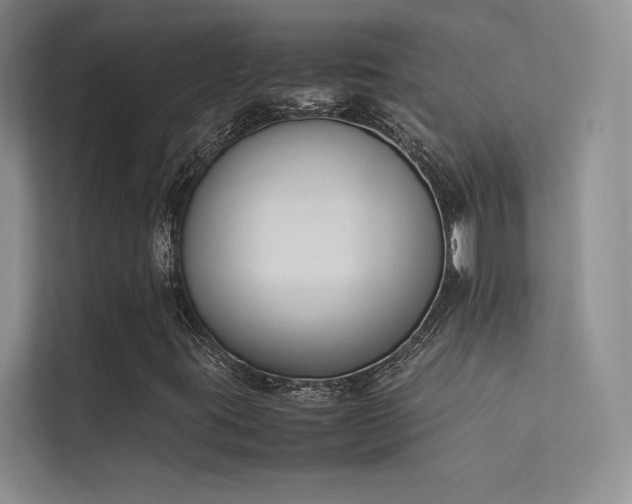 X0000113351395200909151144