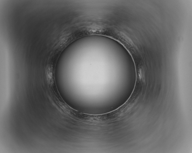 X0000113351396200909151144