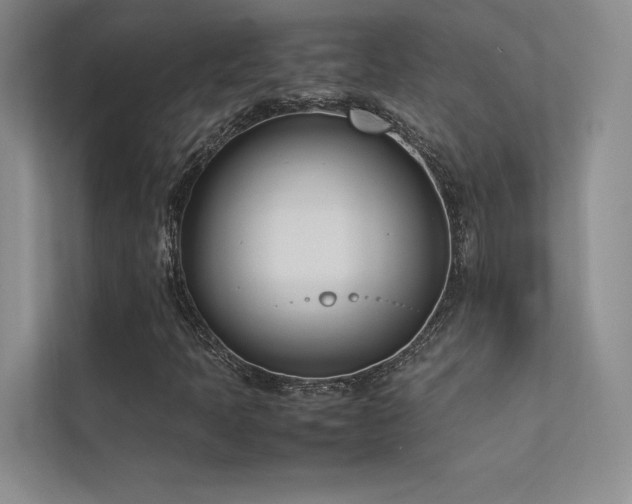 X0000113351397200909151144
