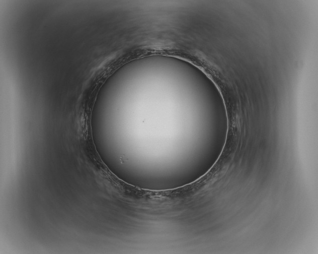 X0000113351398200909151144