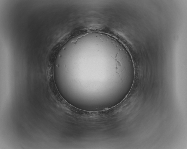 X0000113351399200909151144