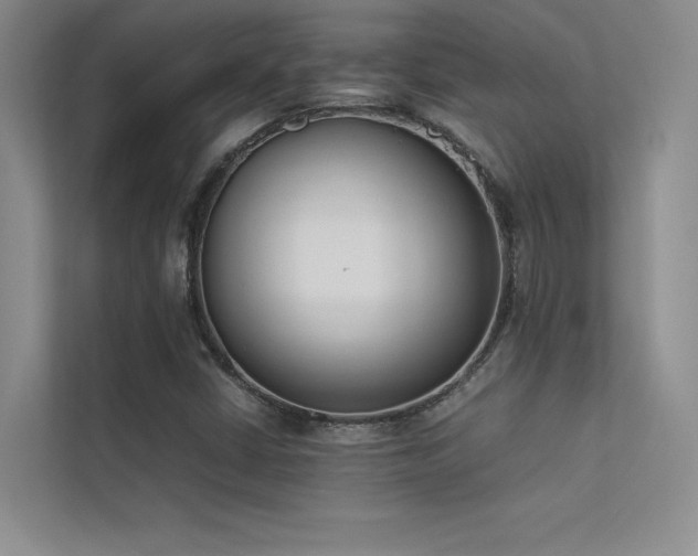 X0000113351402200909151144