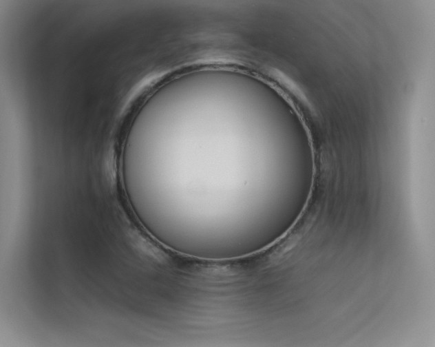 X0000113351408200909151144