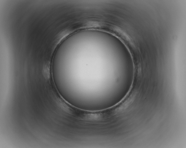 X0000113351409200909151144
