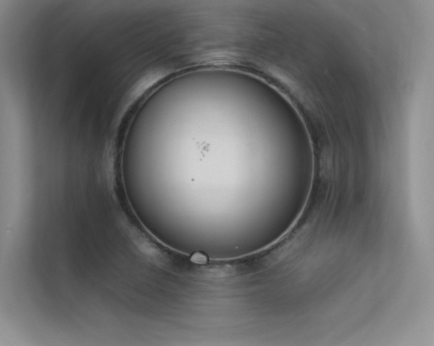X0000113351410200909151144
