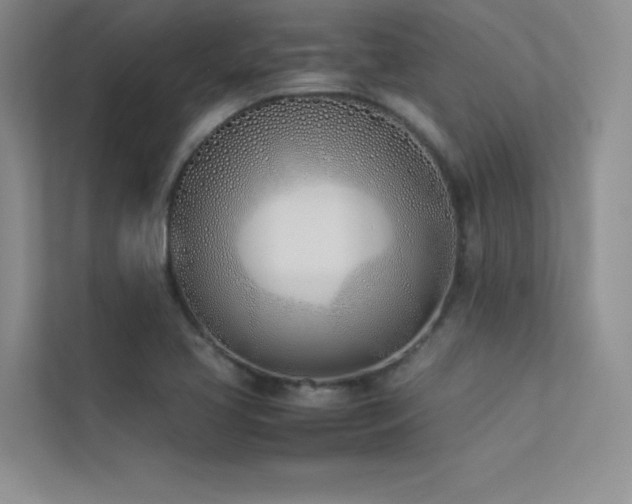 X0000113351413200909151144