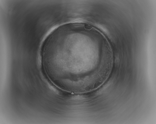 X0000113351414200909151144