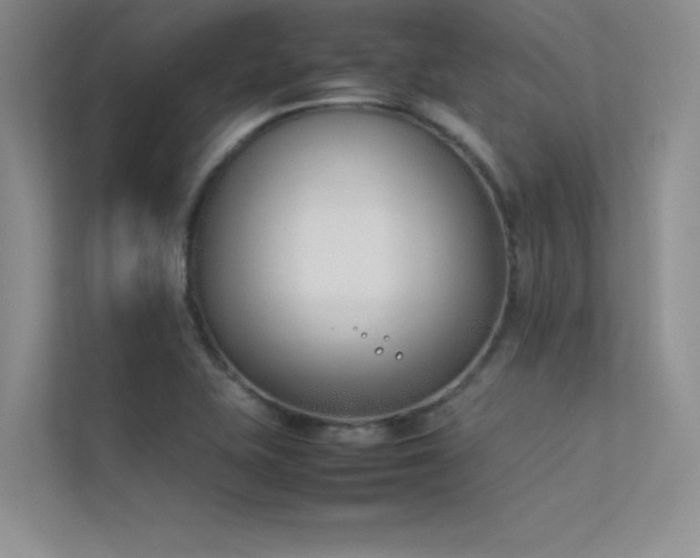 X0000113351415200909151144
