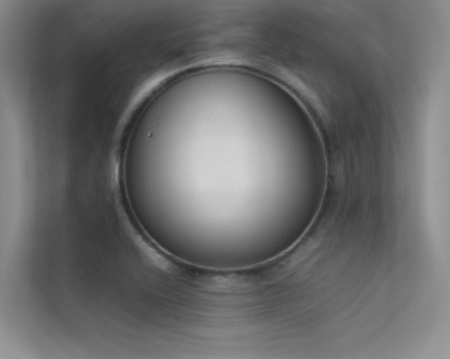 X0000113351416200909151144