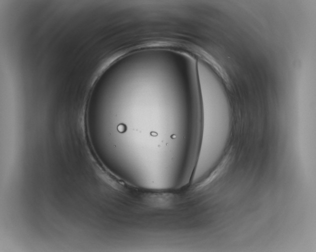 X0000113351417200909151144