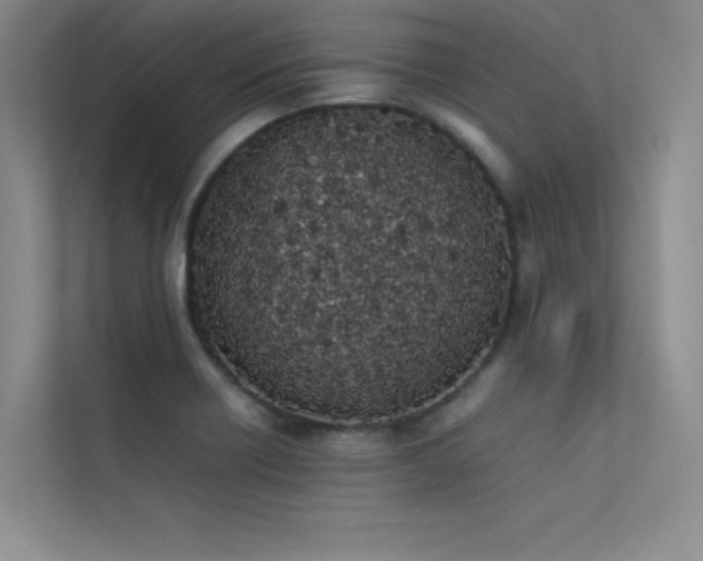 X0000113351418200909151144