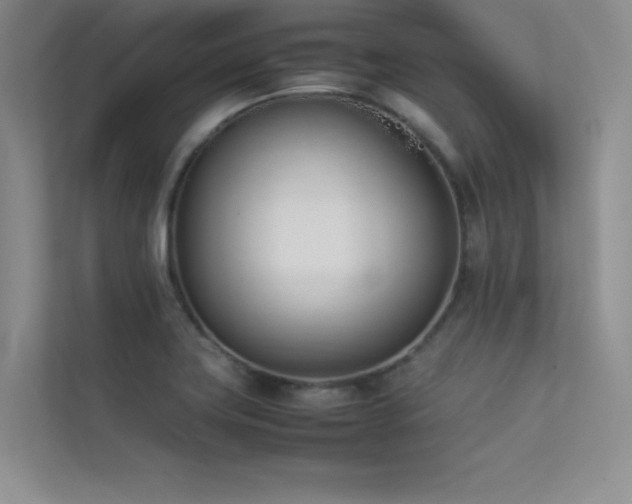 X0000113351419200909151144
