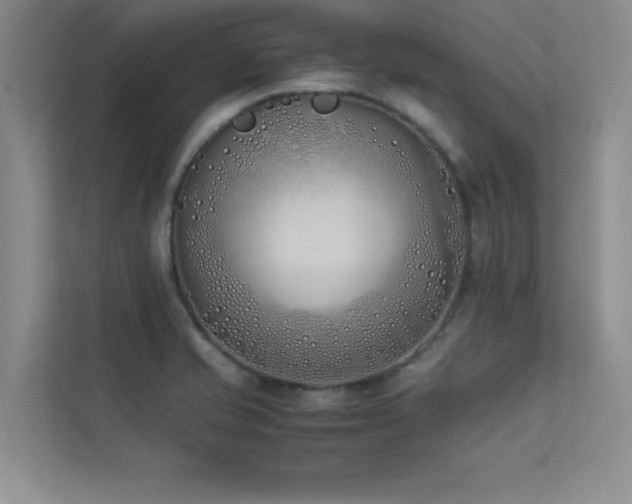 X0000113351421200909151144
