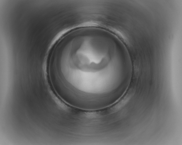 X0000113351422200909151144
