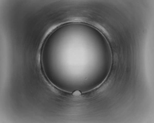 X0000113351424200909151144