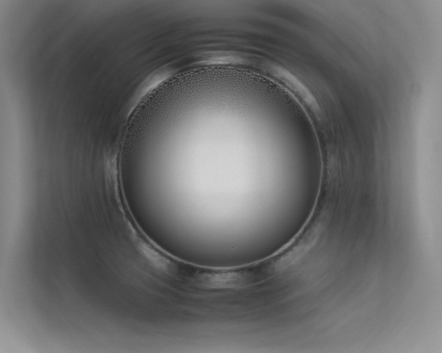 X0000113351425200909151144