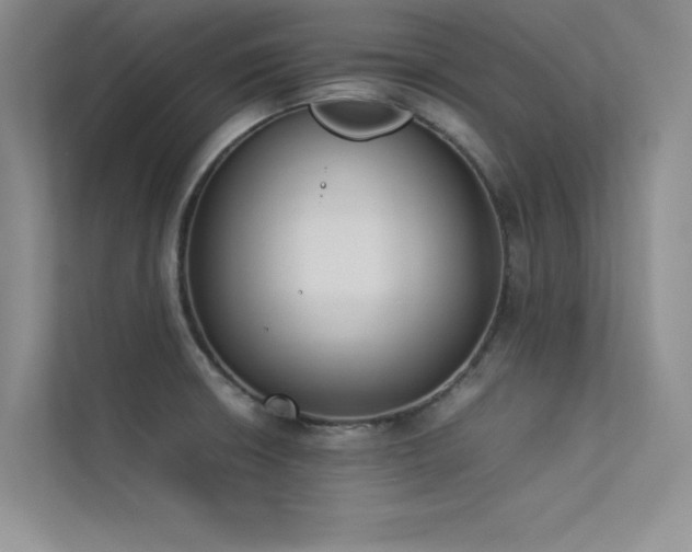 X0000113351426200909151144