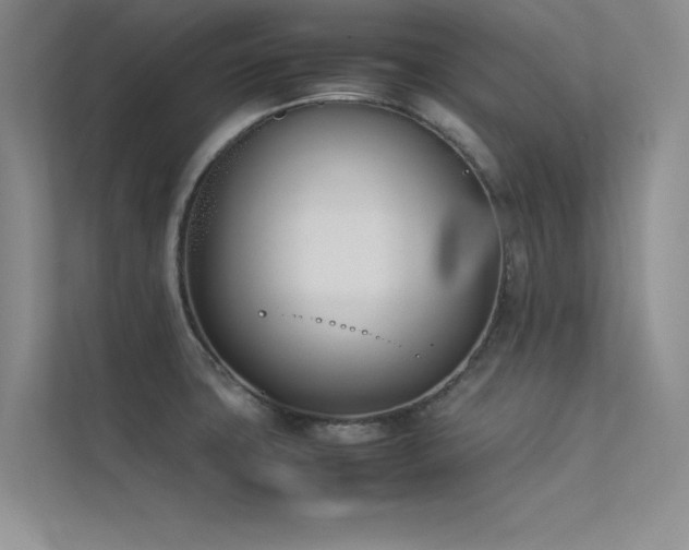 X0000113351427200909151144
