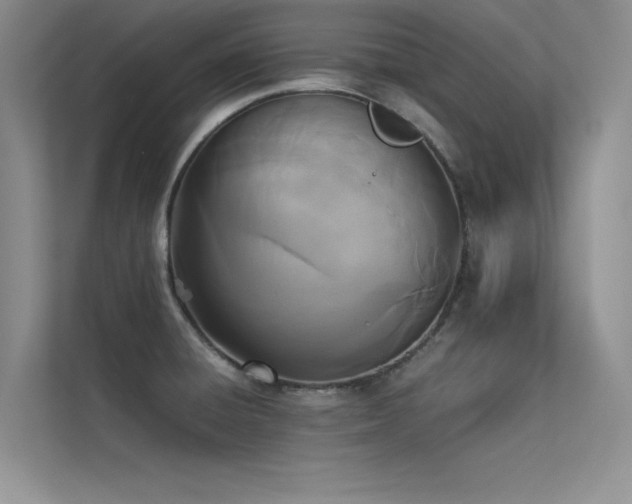X0000113351428200909151144