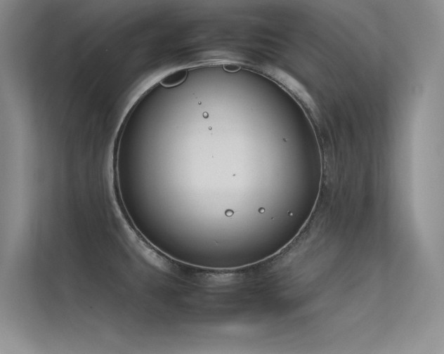 X0000113351431200909151144