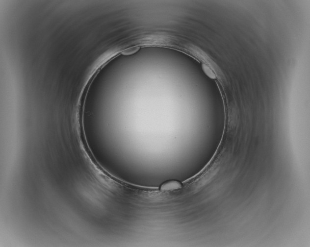X0000113351434200909151145