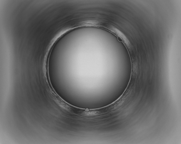 X0000113351435200909151145