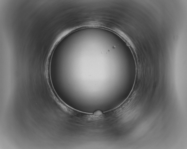 X0000113351437200909151145