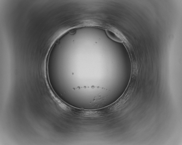 X0000113351439200909151145