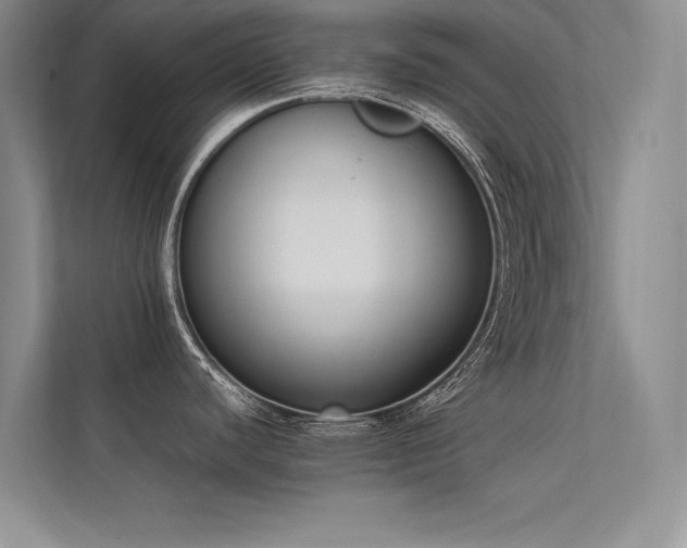 X0000113351440200909151145