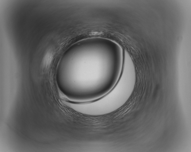 X0000113351441200909151144