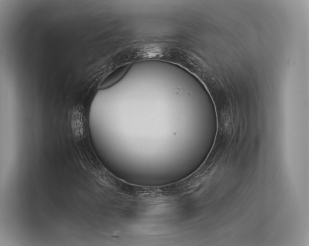 X0000113351442200909151144