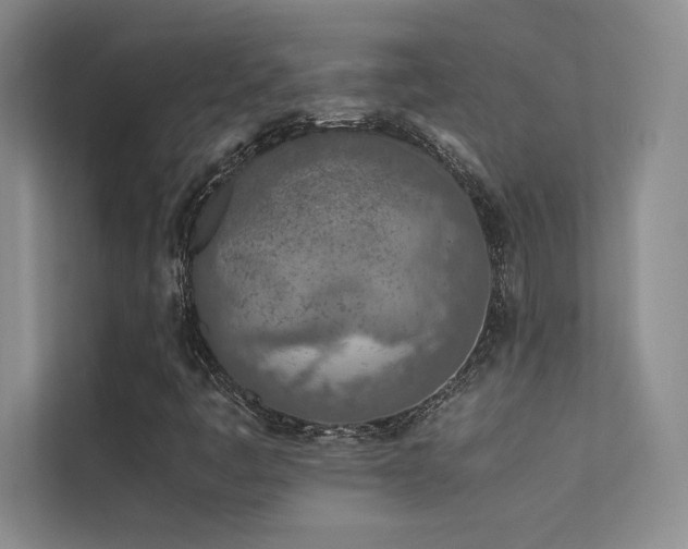 X0000113351445200909151144