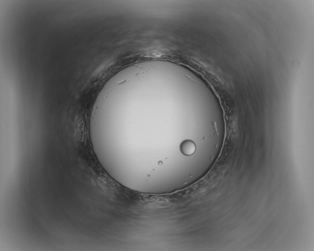 X0000113351446200909151144