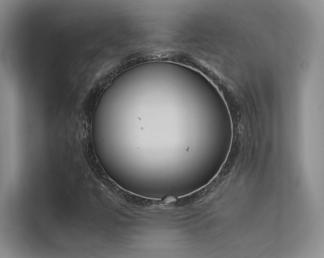 X0000113351447200909151144