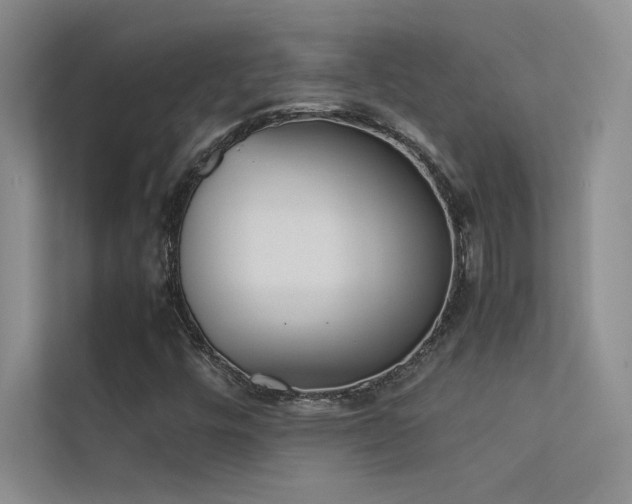 X0000113351448200909151144