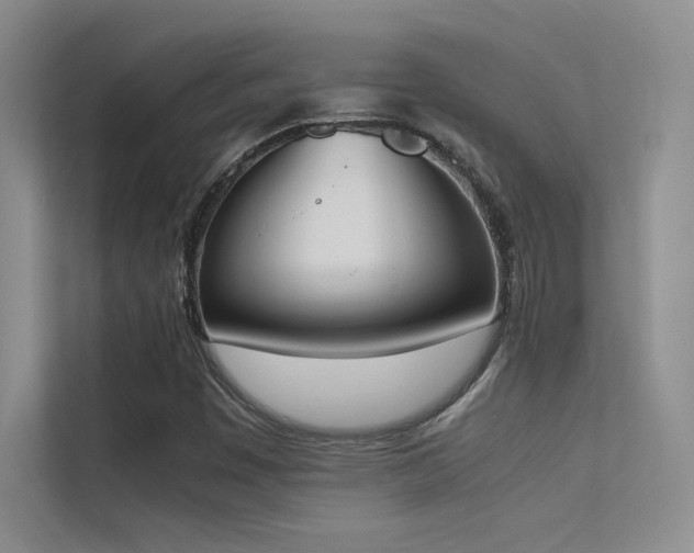X0000113351449200909151144