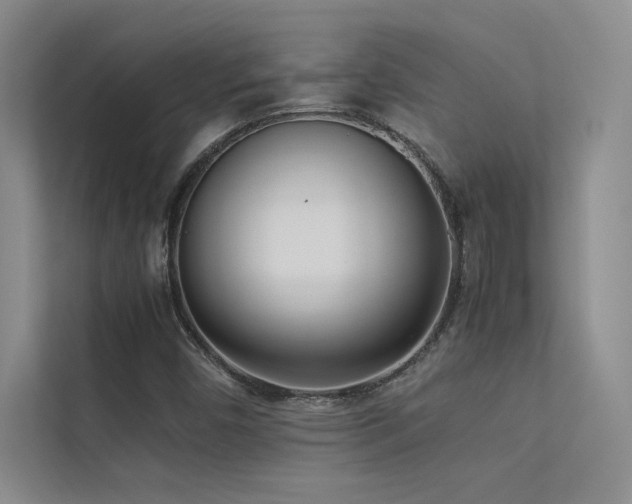 X0000113351450200909151144