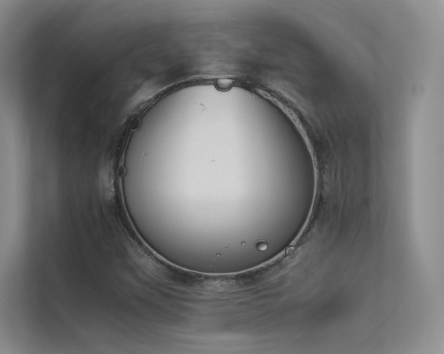 X0000113351451200909151144